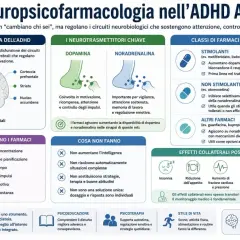 Grafico sull'ADHD adulto: neurobiologia, neurotrasmettitori, farmaci e terapie. Utile per chi ha un **adhd qi alto** e cerca soluzioni.