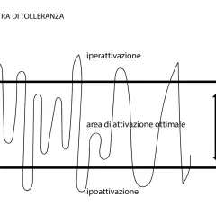 Grafico che illustra la "finestra di tolleranza", mostrando come le fluttuazioni emotive (iperattivazione e ipoattivazione) rendano difficile gestire le emozioni, rimanendo nell'area ottimale.