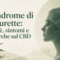 Immagine con testo "Sindrome di Tourette: cos'è, sintomi e ricerche sul CBD". A sinistra, una bottiglia di olio CBD e una foglia di cannabis. A destra, profilo di una donna con un cervello stilizzato sovrapposto.