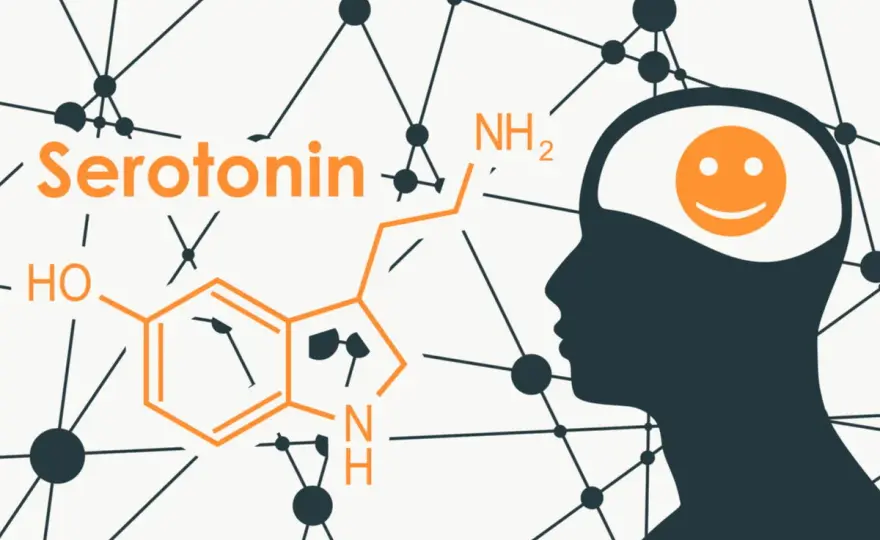 Ormone della felicità - La verità su umore e benessere
