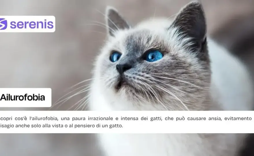 Ailurofobia - Paura dei gatti? Superala e riprendi il controllo