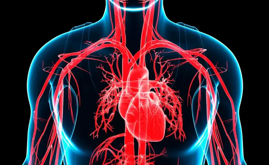 Ansia o pericardite? Distingui i sintomi e agisci subito