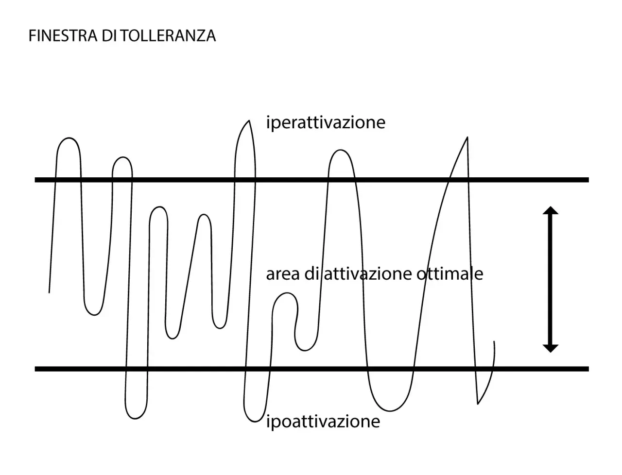 Grafico che illustra la "finestra di tolleranza", mostrando come le fluttuazioni emotive (iperattivazione e ipoattivazione) rendano difficile gestire le emozioni, rimanendo nell'area ottimale.