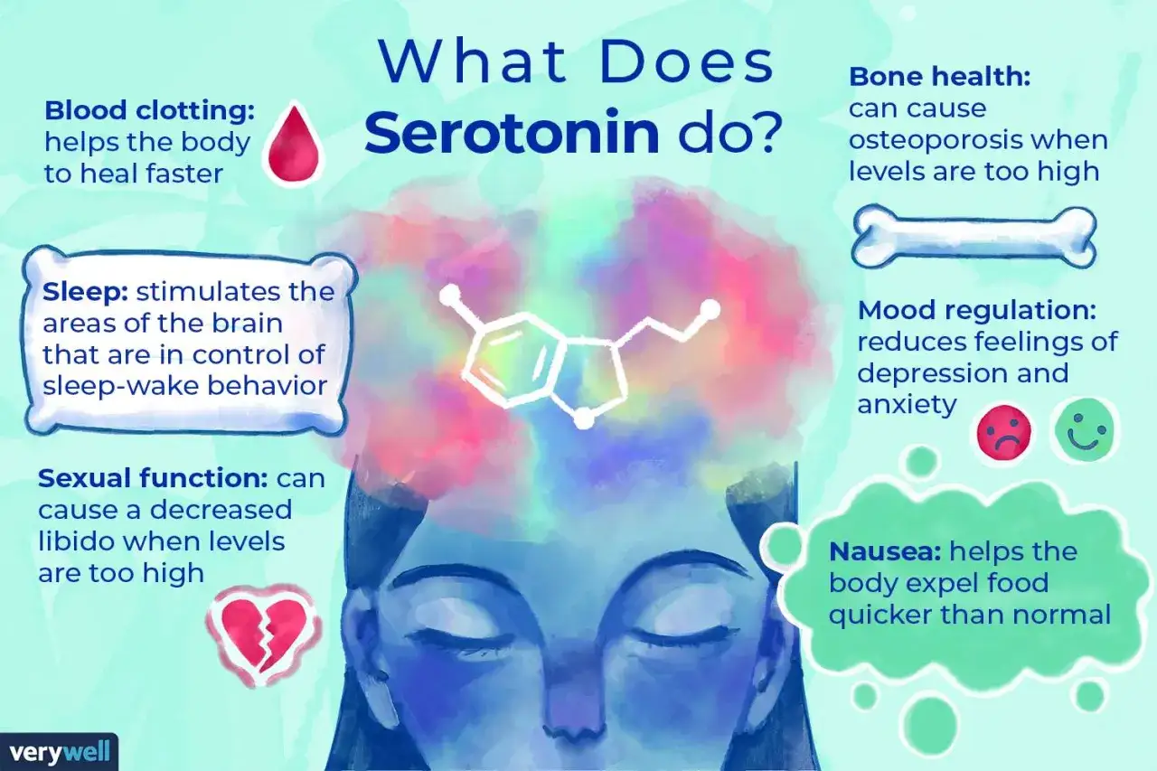 Grafica che illustra le funzioni della serotonina: coagulazione, sonno, umore, salute ossea, funzione sessuale e nausea. Utile per capire se manca serotonina.