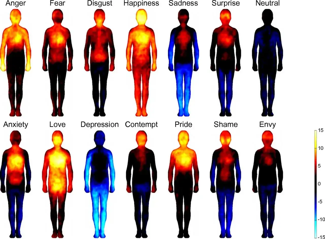 Mappe corporee di emozioni: rabbia, paura, felicità, tristezza, amore, vergogna e altre. Alcune emozioni sembrano non provare emozioni, come la 